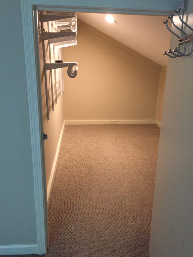 View from closet doorway into a large, empty closet with a sloped ceiling.