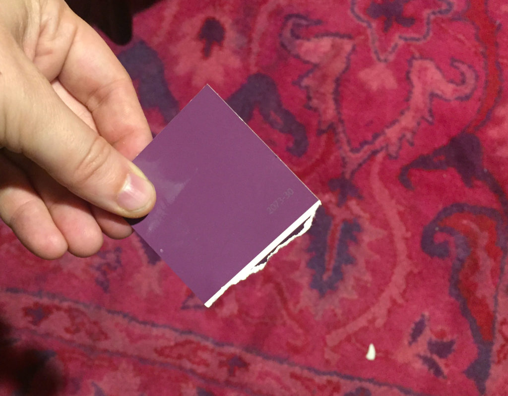 Closeup on paint swatch for Benjamin Moore Passion Plum, with bright pink patterned rug in the background.