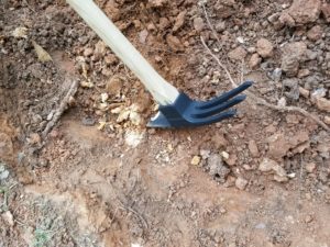 The mattock, which looks like an axe on one side and a three-pronged hoe on the other, sits in red clay dirt.